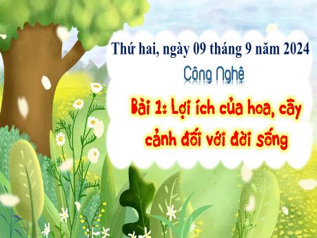 Bài giảng Công nghệ 4 - Bài 1: Lợi ích của hoa, cây cảnh đối với đời sống - Năm học 2024-2025 - Trịnh Thị Quyên