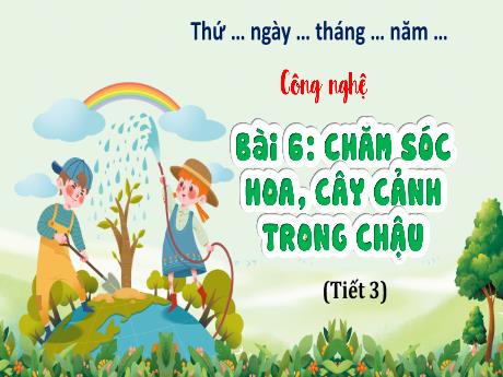 Bài giảng Công nghệ 4 - Bài 6: Chăm sóc hoa, cây cảnh trong chậu (Tiết 3) - Trịnh Thị Quyên