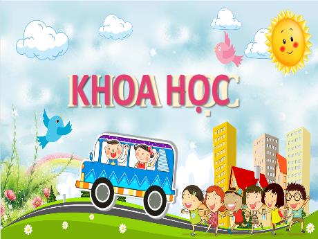 Bài giảng Khoa học 4 - Bài 10: Âm thanh và sự lan truyền âm thanh (Tiết 2) - Trịnh Thị Quyên