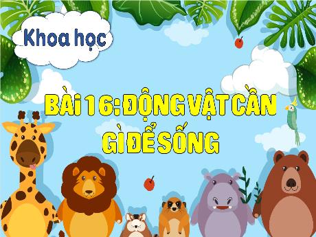 Bài giảng Khoa học 4 - Bài 16: Động vật cần gì để sống? - Đậu Thị Hương