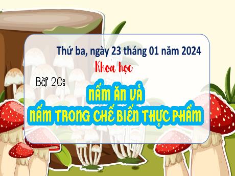 Bài giảng Khoa học 4 - Bài 20: Nấm ăn và nấm trong chế biến thực phẩm - Năm học 2023-2024 - Trịnh Thị Quyên
