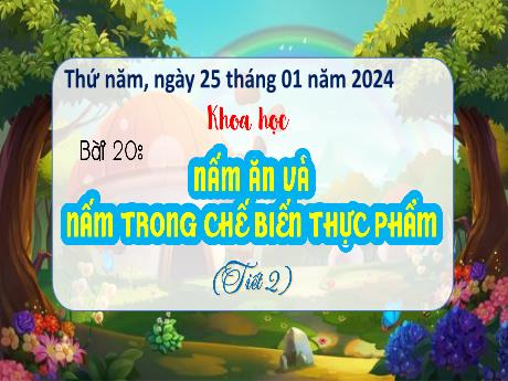 Bài giảng Khoa học 4 - Bài 20: Nấm ăn và nấm trong chế biến thực phẩm (Tiết 2) - Năm học 2023-2024 - Trịnh Thị Quyên