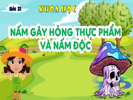 Bài giảng Khoa học 4 - Bài 21: Nấm gây hỏng thực phẩm và nấm độc - Đậu Thị Hương