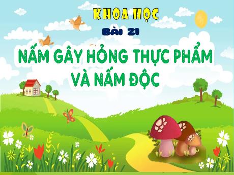 Bài giảng Khoa học 4 - Bài 21: Nấm gây hỏng thực phẩm và nấm độc (Tiết 1) - Đặng Thái Lê Na