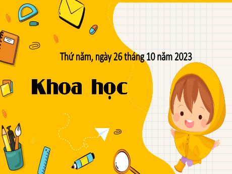 Bài giảng Khoa học 4 - Bài 9: Vai trò của ánh sáng (Tiết 1) - Năm học 2023-2024 - Trịnh Thị Quyên