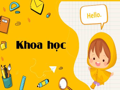 Bài giảng Khoa học 4 - Bài 9: Vai tròi của ánh sáng - Đậu Thị Hương