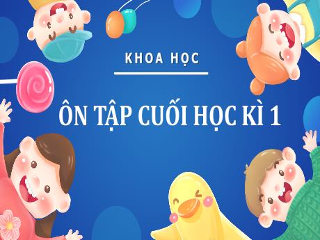 Bài giảng Khoa học 4 - Bài: Ôn tập cuối học kì I - Đậu Thị Hương