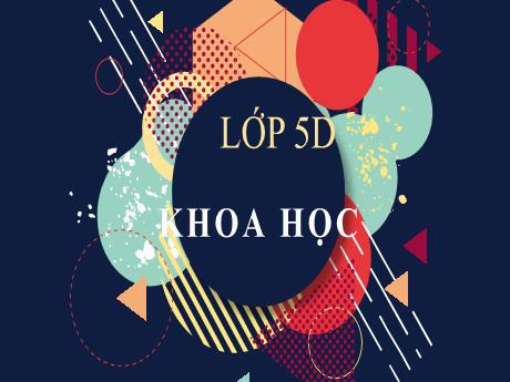 Bài giảng Khoa học 5 - Bài 12: Phòng bệnh sốt rét - Đặng Thái Lê Na