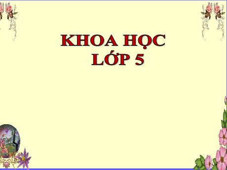 Bài giảng Khoa học 5 - Bài 25: Nhôm - Năm học 2023-2024 - Đặng Thái Lê Na