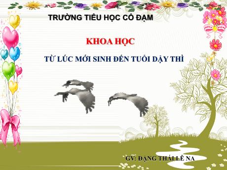 Bài giảng Khoa học 5 - Bài 6: Từ lúc mới sinh đến tuổi dậy thì - Đặng Thái Lê Na
