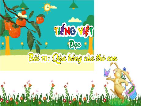 Bài giảng Tiếng Việt 3 (Tập đọc) - Bài 10: Quả hồng của thỏ con - Phan Thị Thảo