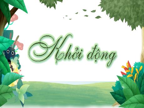 Bài giảng Tiếng Việt 4 - Bài: Luyện viết mở bài, kết bài cho bài văn miêu tả cây cối - Trịnh Thị Quyên