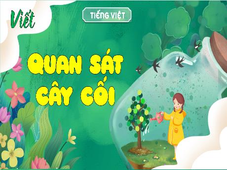 Bài giảng Tiếng Việt 4 - Bài: Quan sát cây cối - Đậu Thị Hương
