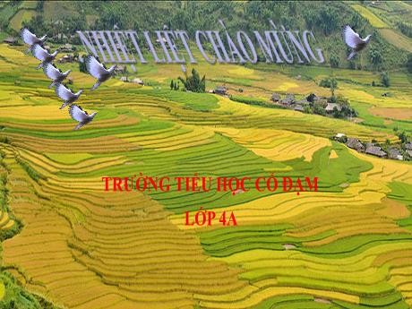 Bài giảng Tiếng Việt 4 (Tập đọc) - Bài: Con vẹt xanh - Năm học 2023-2024 - Đậu Thị Hương